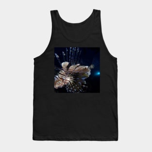 fish Tank Top